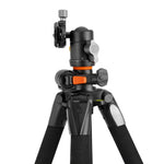 ALTA PRO 263AB G2 - Aluminiumstativ mit Kugelkopf - Traglast 10 kg