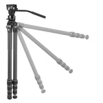 ALTA PRO 3VL 264CV14 - Videostativ aus Carbon mit Nivellierbasis - Traglast 8 kg