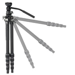 ALTA PRO 3VLT 235CV12 - Kompaktes Video-Reise-Stativ aus Carbon mit Nivellierbasis - Traglast 6 kg