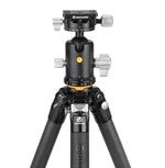 VEO 5 304CB250S – STATIV AUS CARBON MIT KUGELKOPF - Traglast 20 kg