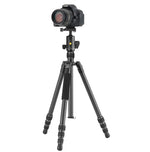 VESTA GO 264CB - Reisestativ aus Carbon mit Kugelkopf - 10 kg Traglast