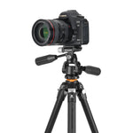 VEO 5 234APS36  –  Stativ AUS ALUMINIUM MIT 3-WEGE-KUGELKOPF - Traglast 6 kg