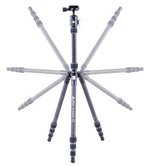 Vesta TB 204CB
