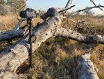 VEO2S CM-264TBP120T Carbon Einbeinstativ