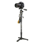 VEO2S CM-264TBP120T Carbon Einbeinstativ