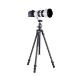 VEO3 263CB - Carbonstativ - Traglast 10 kg