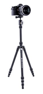 Vesta TB 204AB